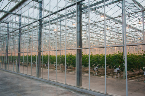 Ensuring Safety and Efficiency in Greenhouse Facilities